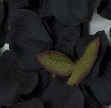 Black Silk Rose Petals