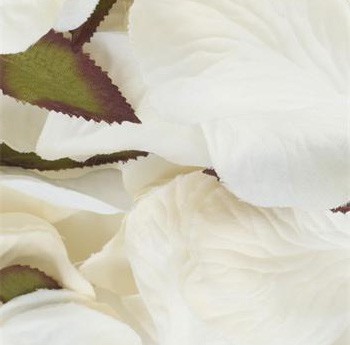 Ivory Silk Rose Petals