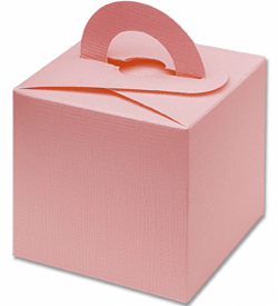 Pink Balloon Weight / Favour Boxes