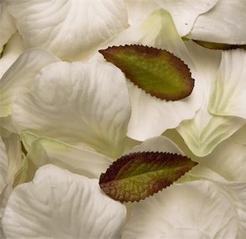 White Silk Rose Petals