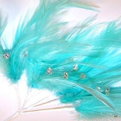 Aqua Diamante Feathers