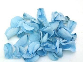 Baby Blue Real Rose Petals