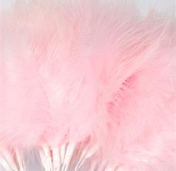 Baby Pink Fluff Feathers