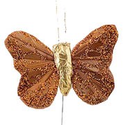 Copper Small Feather Butterflies