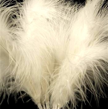 Cream Fluff Feathers