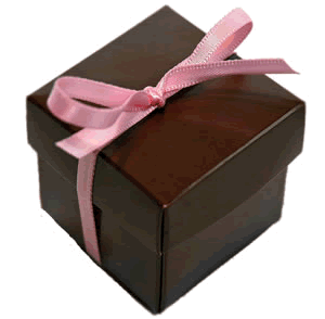 Chocolate Brown Favour Box