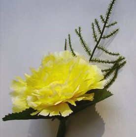 Gold Carnation Fern Buttonhole