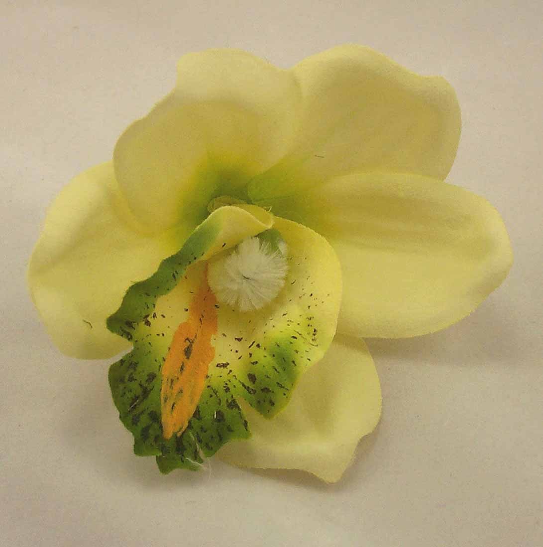 Cream Ivory Orchid Buttonhole