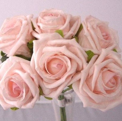 6 Luxury Light Pink Medium Roses