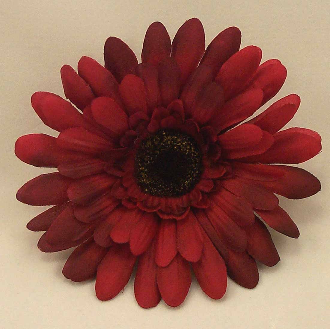 Burgundy Gerbera Sample