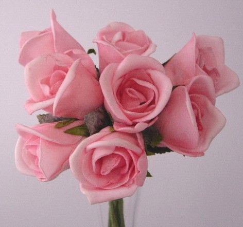 8 Luxury Pink Rosebuds