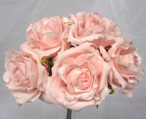 5 Luxury Open Light Pink Roses