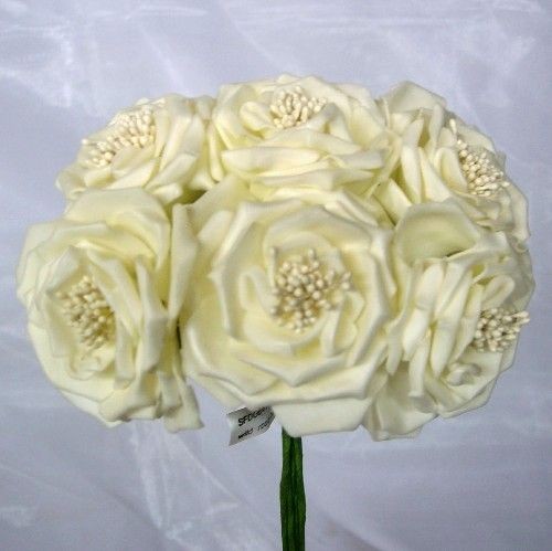 6 Luxury Wild Ivory Roses