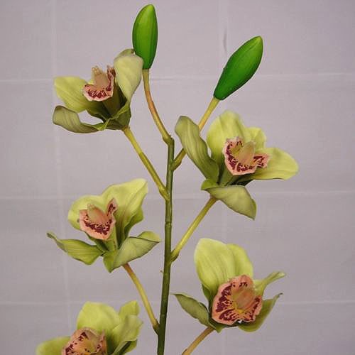 Artificial Flowers Stem of Green Cymbidium Orchids Artificial Silk