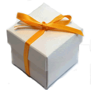 White Favour Box