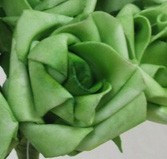 Forest Green Medium Rose Sample