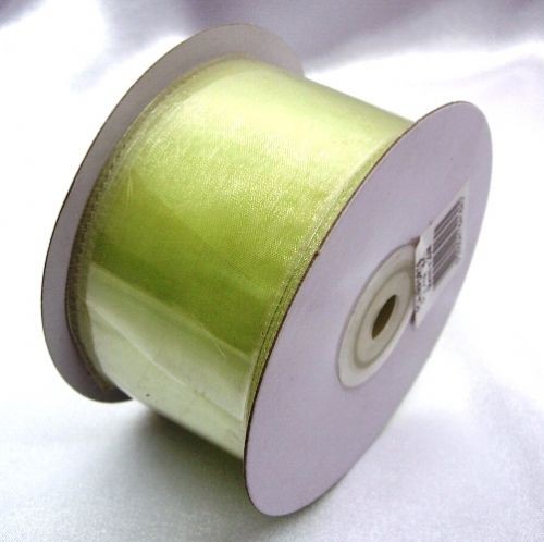 Light Green Ribbon Wired Organza 50mm
