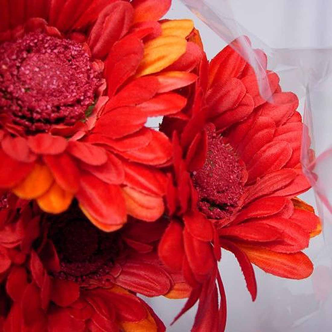 Red Gerbera Sample