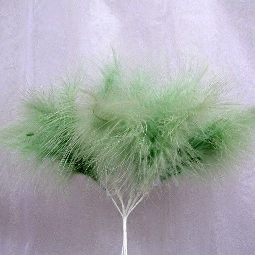 Green Fluff Feathers