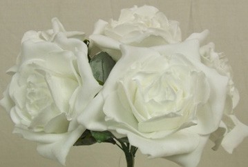 5 Luxury Open White Roses