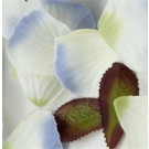 Lavender Blue Silk Rose Petals
