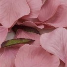 Pink Silk Rose Petals