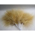 Beige Fluff Feathers