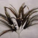 Brown Diamante Feathers