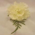 Ivory Carnation Fern Buttonhole