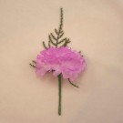 Lavender Carnation Fern Buttonhole