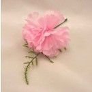 Pink Carnation Fern Buttonhole