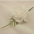 White Carnation Fern Buttonhole