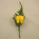 Gold Rose Fern Buttonhole