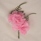 Double Pink Carnation Fern Buttonhole