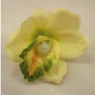 Cream Ivory Orchid Buttonhole