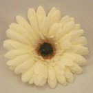 Cream Gerbera Sample