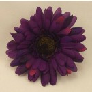 Purple Gerbera Sample