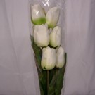 6 Silk Cream Tulips