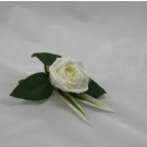 Single Ivory Rose Buttonhole