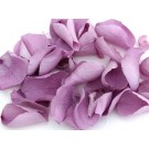 Lilac Real Rose Petals