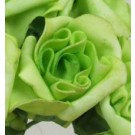 Lime Green Medium Rose Sample