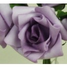 Purple Medium Rose Sample