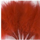 Red Fluff Feathers