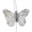 Silver Small Feather Butterflies