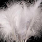 White Fluff Feathers