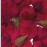 1000 Burgundy Silk Rose Petals