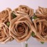 6 Luxury Mocha Medium Roses