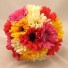 Mixed Colour Gerbera Posy Bouquet