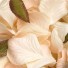Peach Silk Rose Petals