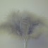 Silver Grey Fluff Feathers